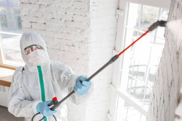 Asbestos and Lead Testing During Mold Inspection in Orangevale, CA