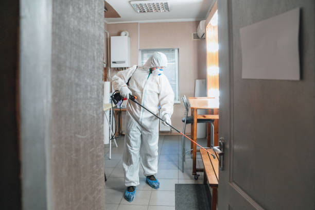 Best Crawl Space Mold Remediation  in Orangevale, CA
