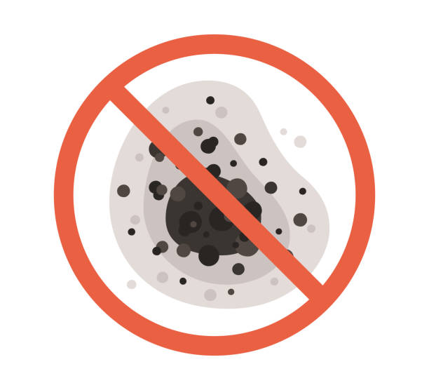 Best Mold-Related Health Consultation  in Orangevale, CA