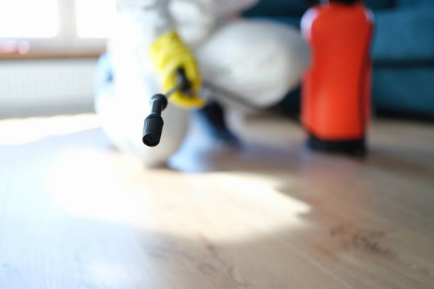 Best Dehumidification Services  in Orangevale, CA