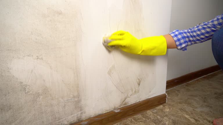 Best Post-Construction Mold Inspection  in Orangevale, CA