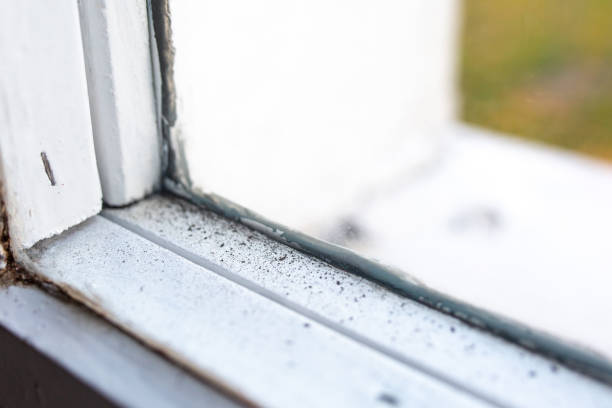 Best HVAC Mold Inspection and Cleaning  in Orangevale, CA
