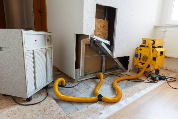 Best Comprehensive Air Testing for Mold Contaminants  in Orangevale, CA