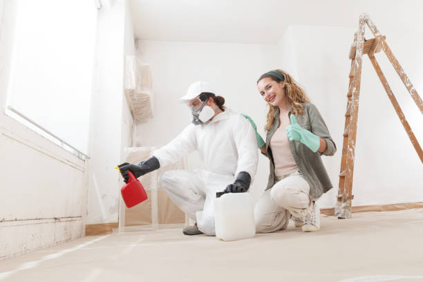 Best Black Mold Removal  in Orangevale, CA